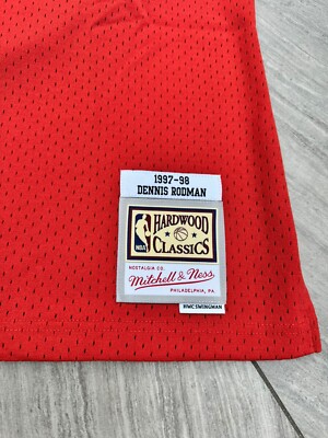 Dennis Rodman Chicago Bulls Mitchell & Ness Off-Court Swingman