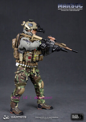 DAMTOYS MARSOC TEAM LEDER 78006 Perfect Damtoys 78006 1/6 Marsco