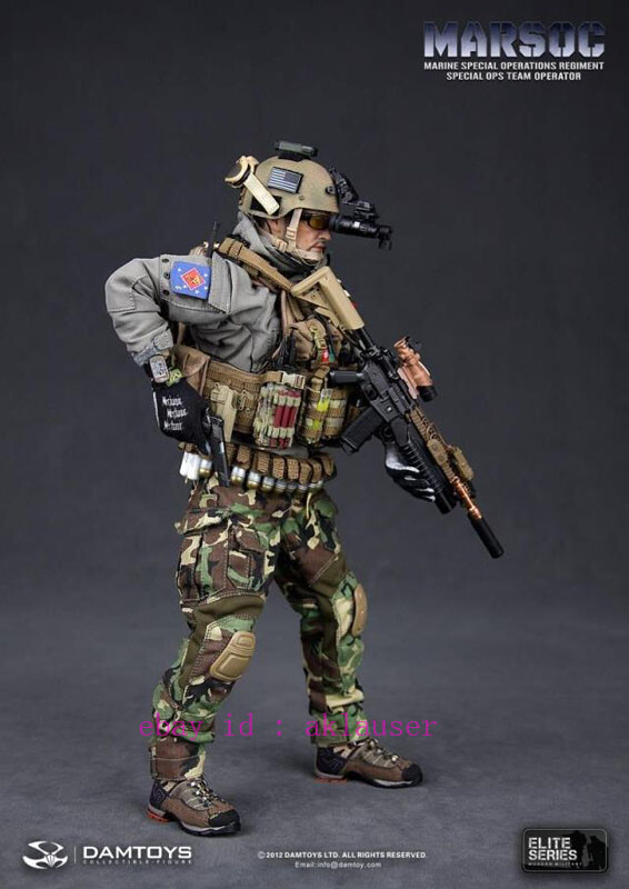 Damtoys Dam78007 1/6 Marsoc Marine Special Operations Regiment
