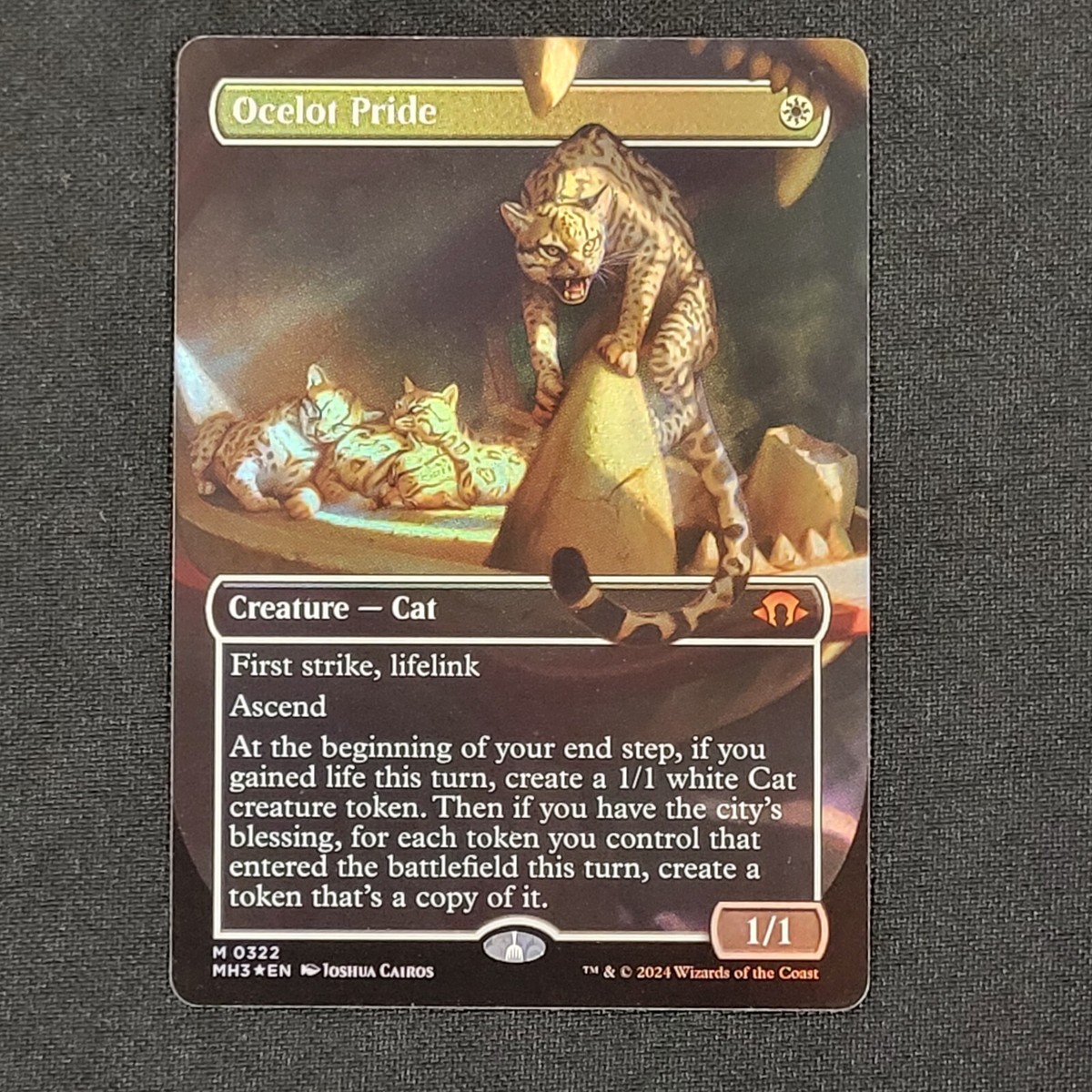 オセロットの群れ英語4枚セット