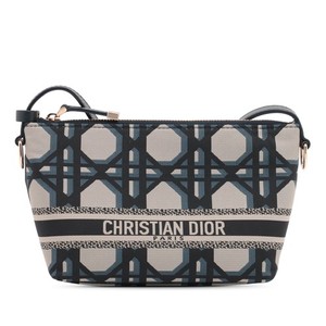 Dior Nomad Pouch | eBay