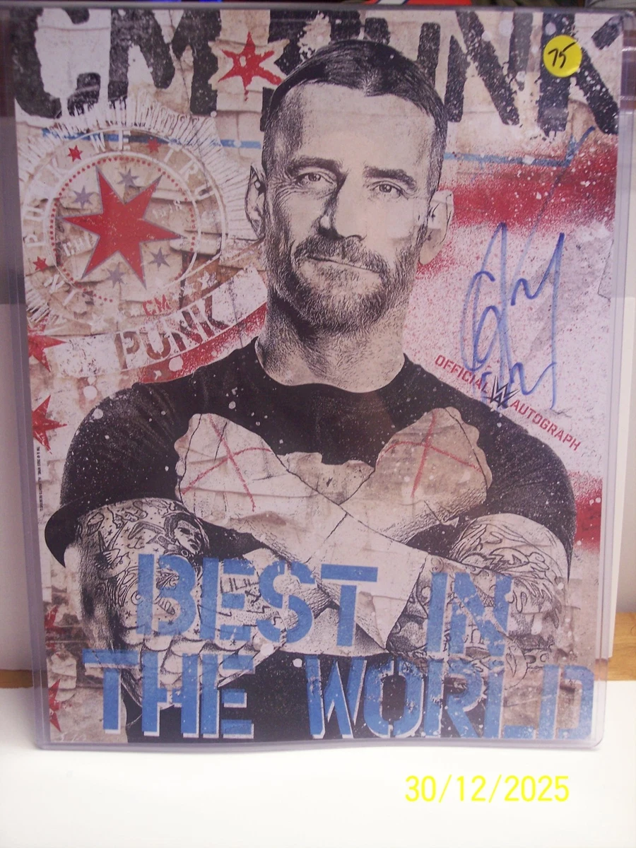 CM Punk WWE Wrestling Original Autographed Items for sale | eBay