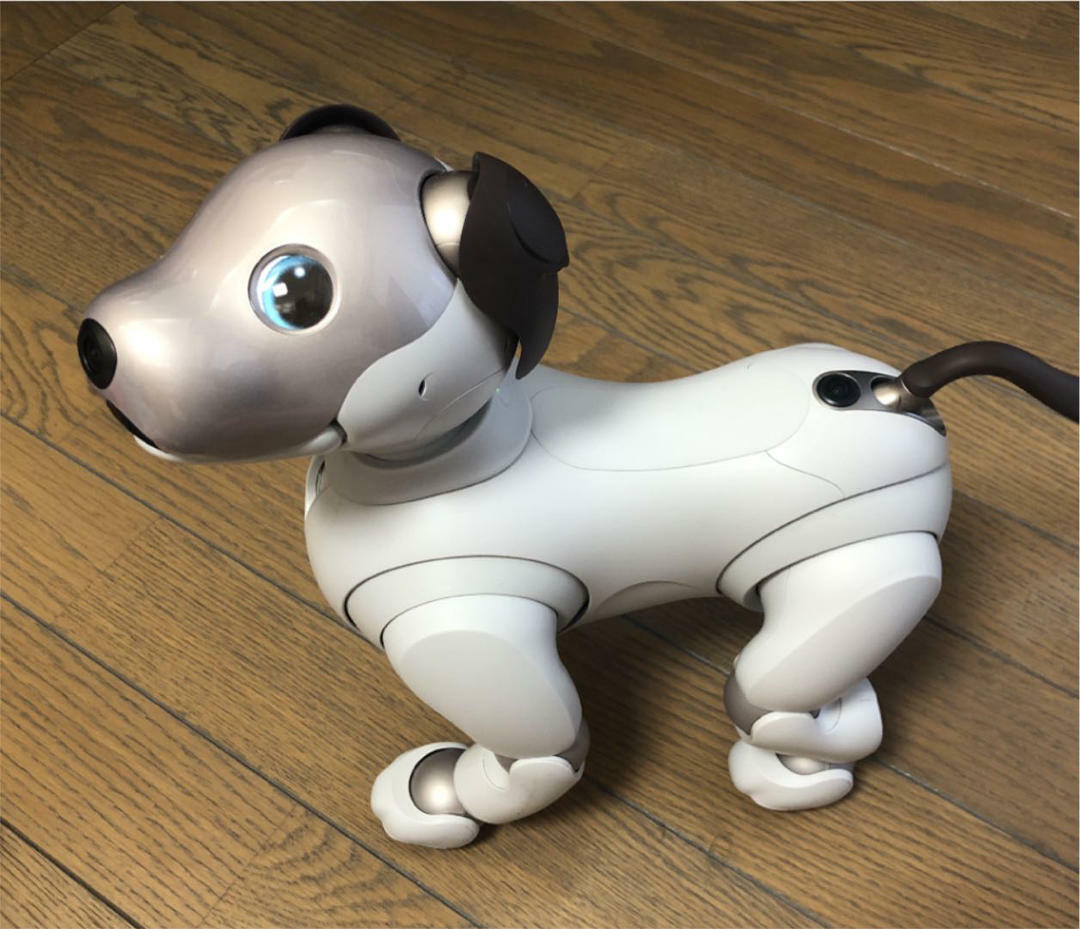 Sony AIBO ERS-1000 Entertainment Robot Dog Ivory White | eBay