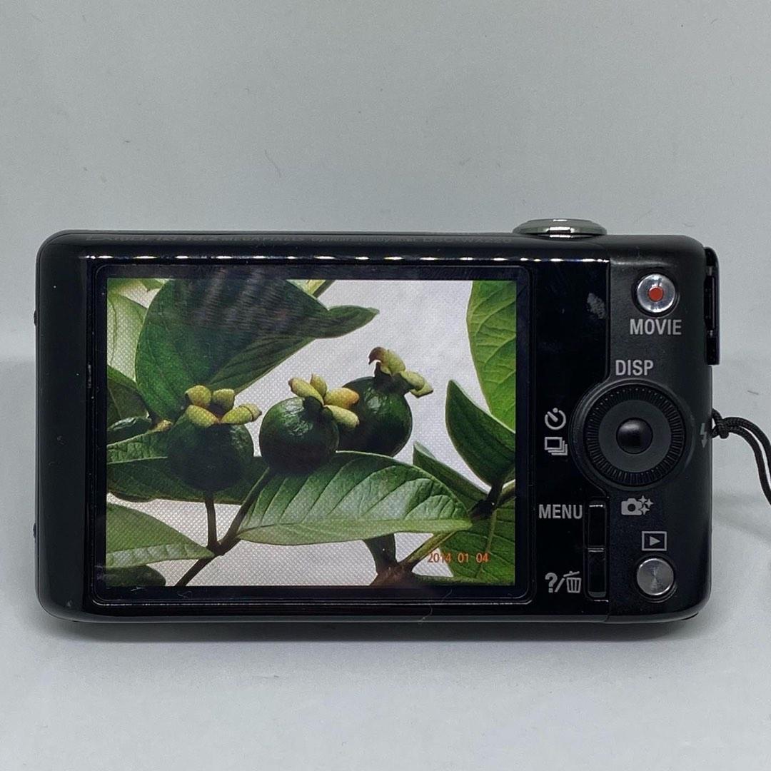 SONY Cyber-shot DSC-WX220 Compact Digital Camera 18.2MP 10 x