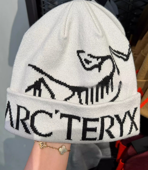 Arc'teryx Bird Head Toque Beanie Orca White Unisex Wool Knit