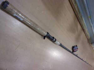 Quantum Tour Edition Rod | eBay