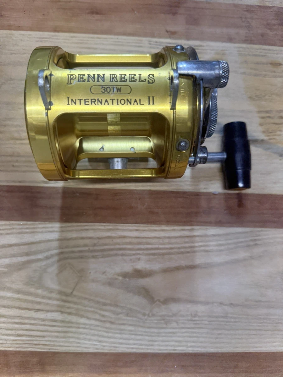 Penn International 30tw | eBay