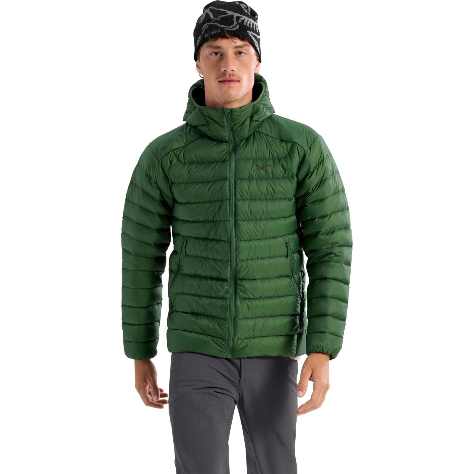 NWT Mens Arc'teryx Eden Green Cerium Hoody Puffer Down Coat Jacket