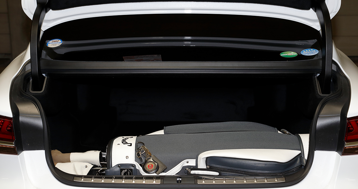 レクサスにキャディバッグが何個積めるか試した - BRUDER