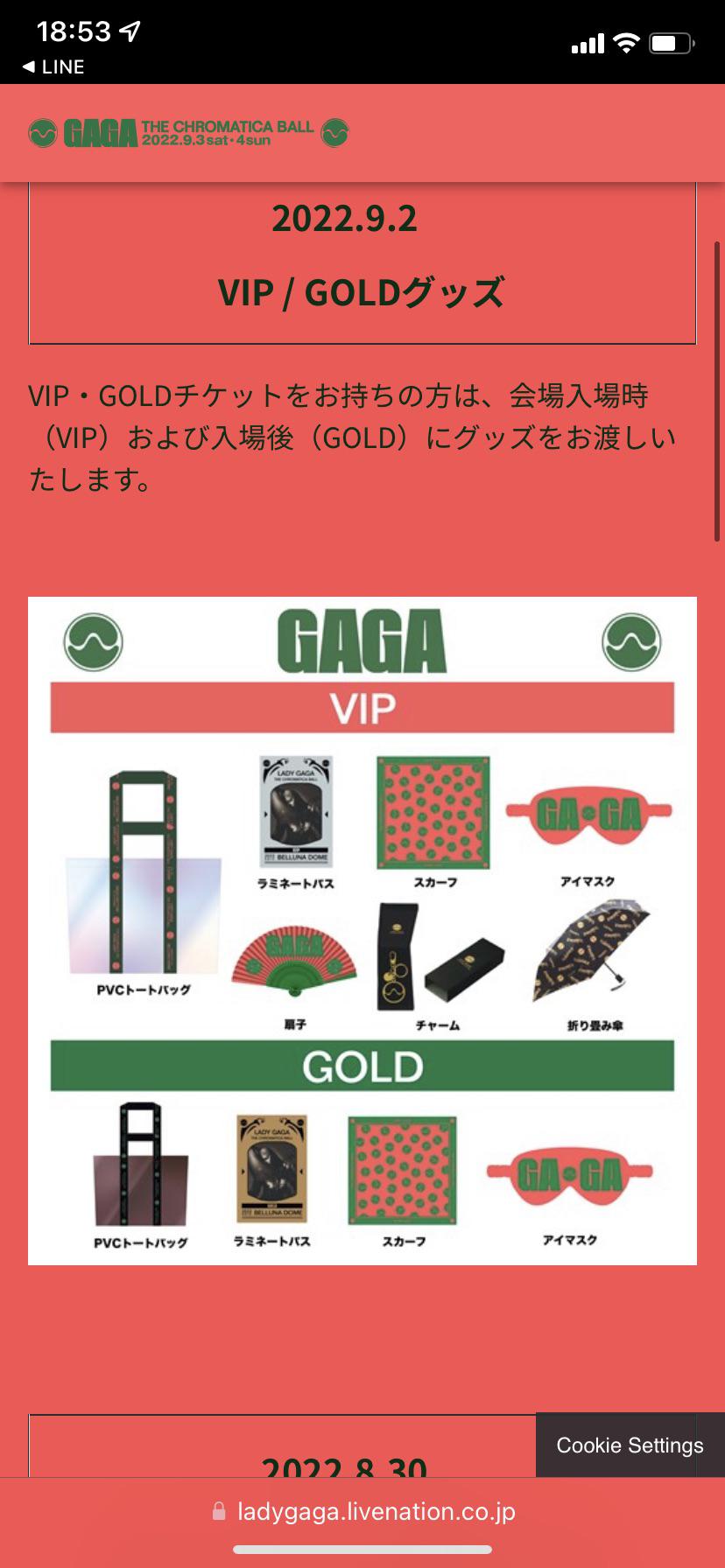 Tokyo show] Goods that come with the VIP & Gold tickets : r/LadyGaga