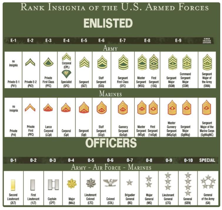 アメリカ軍の階級章。 : r/coolguides