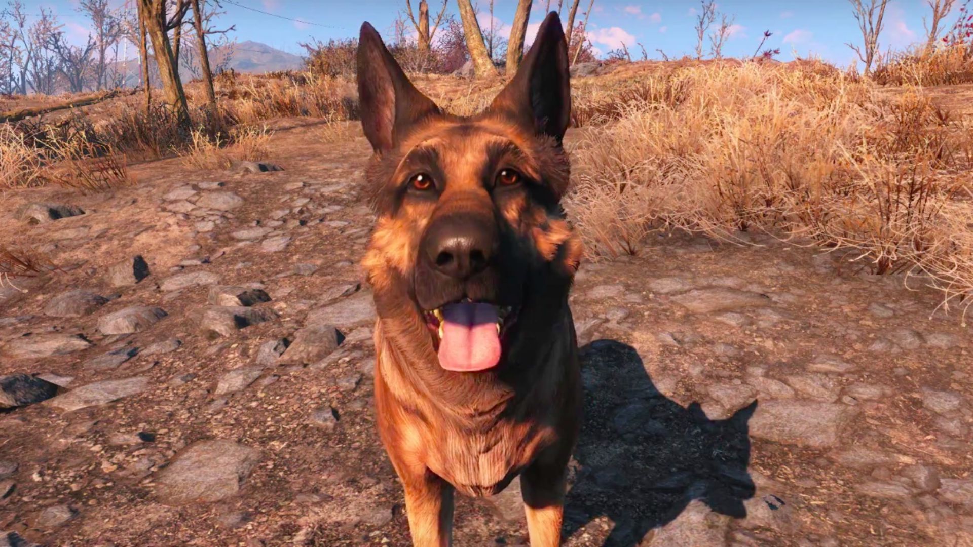 Fallout 4 では、ドッグミートのモデルは、2 人の開発者の飼い犬だった