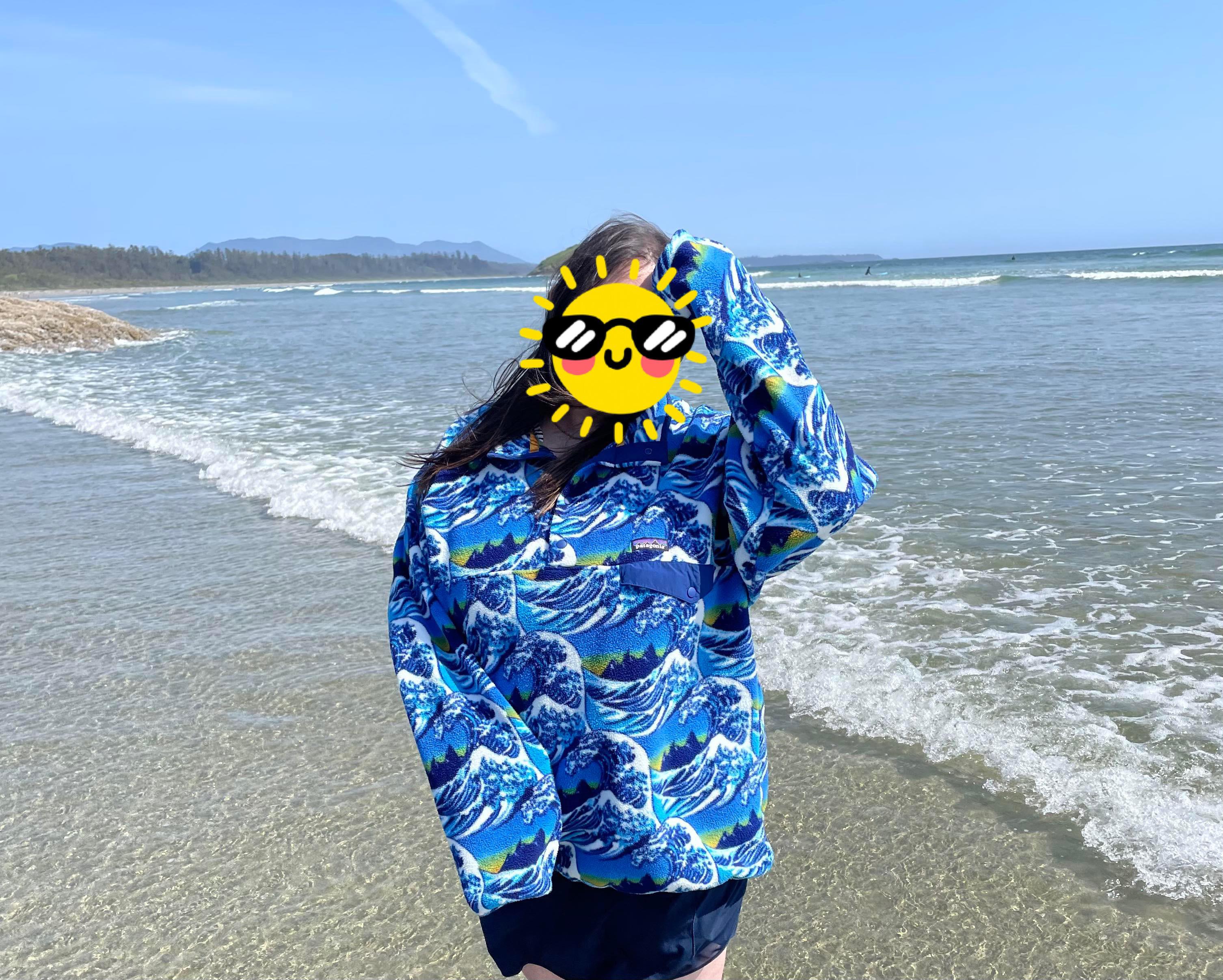 The Synchilla Snap-T Fleece Pullover with Hokusai Fitz Roy Blue