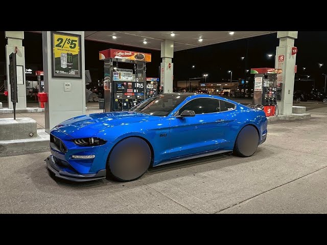 スポーツトイ・アクショントイ Mustang G5 18K Gold Plate スポーツ