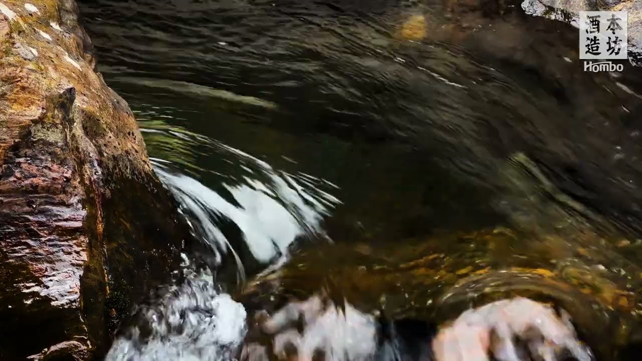 屋久島サングリア 紅白ワイン ギフトセット 色が変わるグラス付き 2本