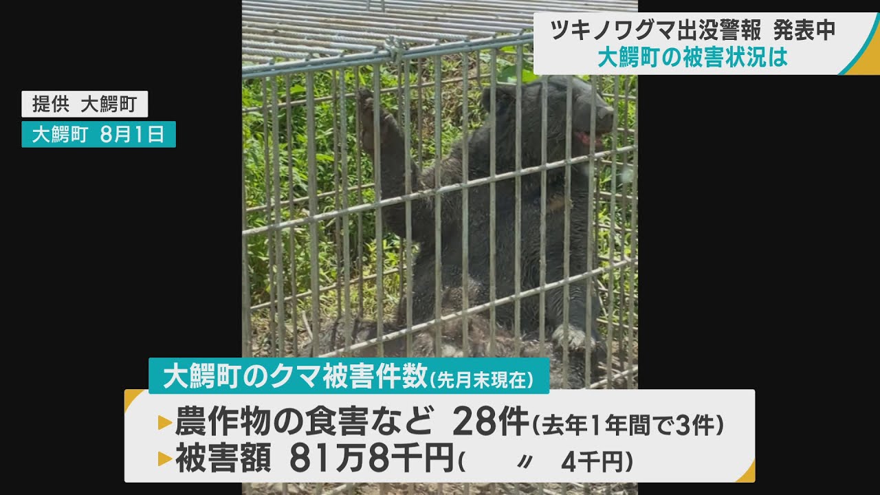青森県に「ツキノワグマ出没警報」 クマの出没状況が過去10年で最多