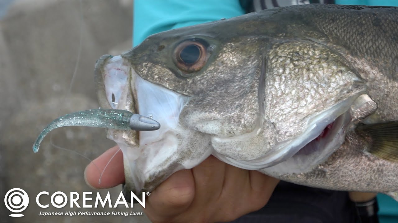 コアマン】アルカリダートヘッド ※セミがうるさ過ぎて音量注意です