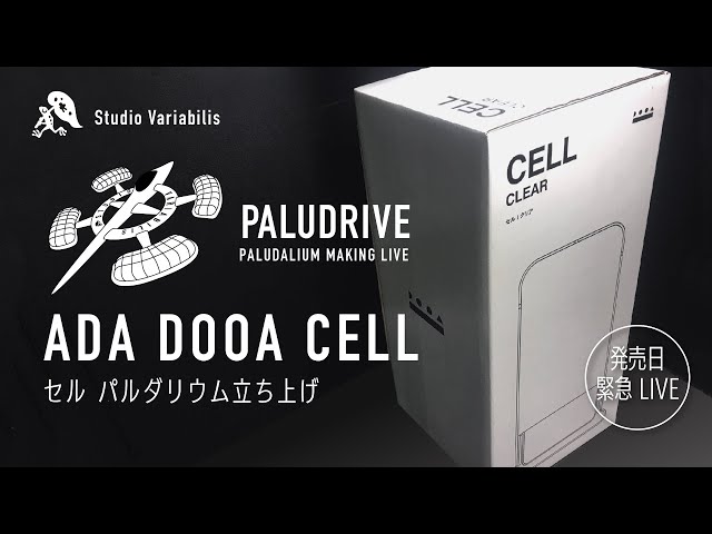 LIVE ] ADA DOOA CELL / セル 発売日にパルダリウムを立ち上げる