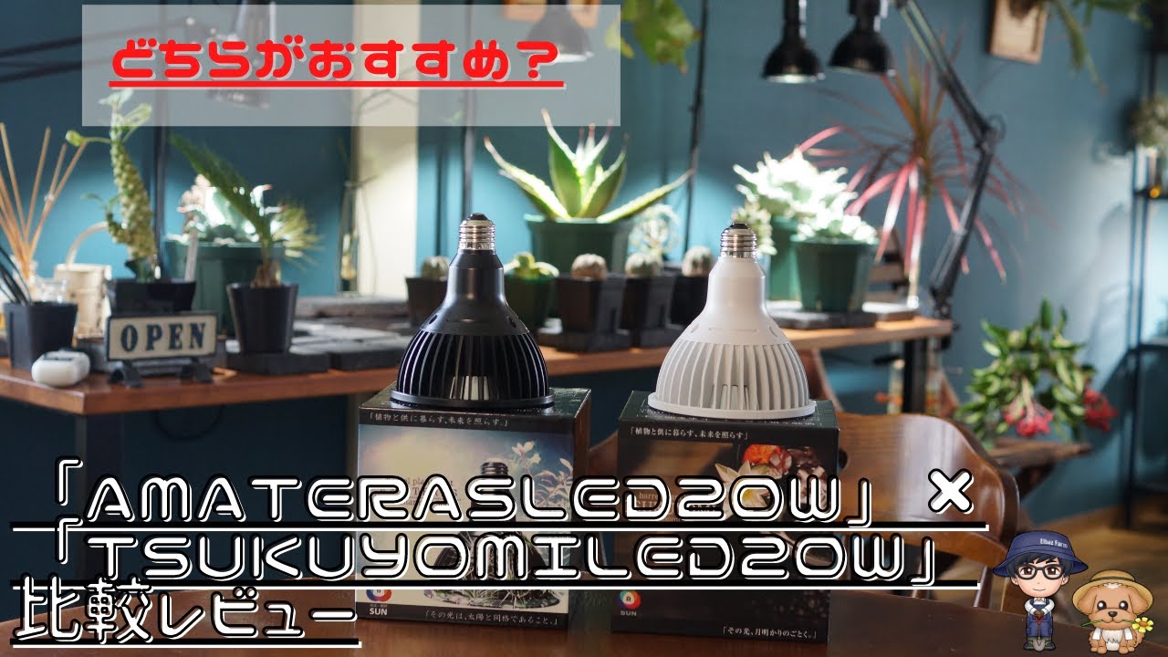 AMATERAS（アマテラス）20W」と「TSUKUYOMI（ツクヨミ）20W」の比較