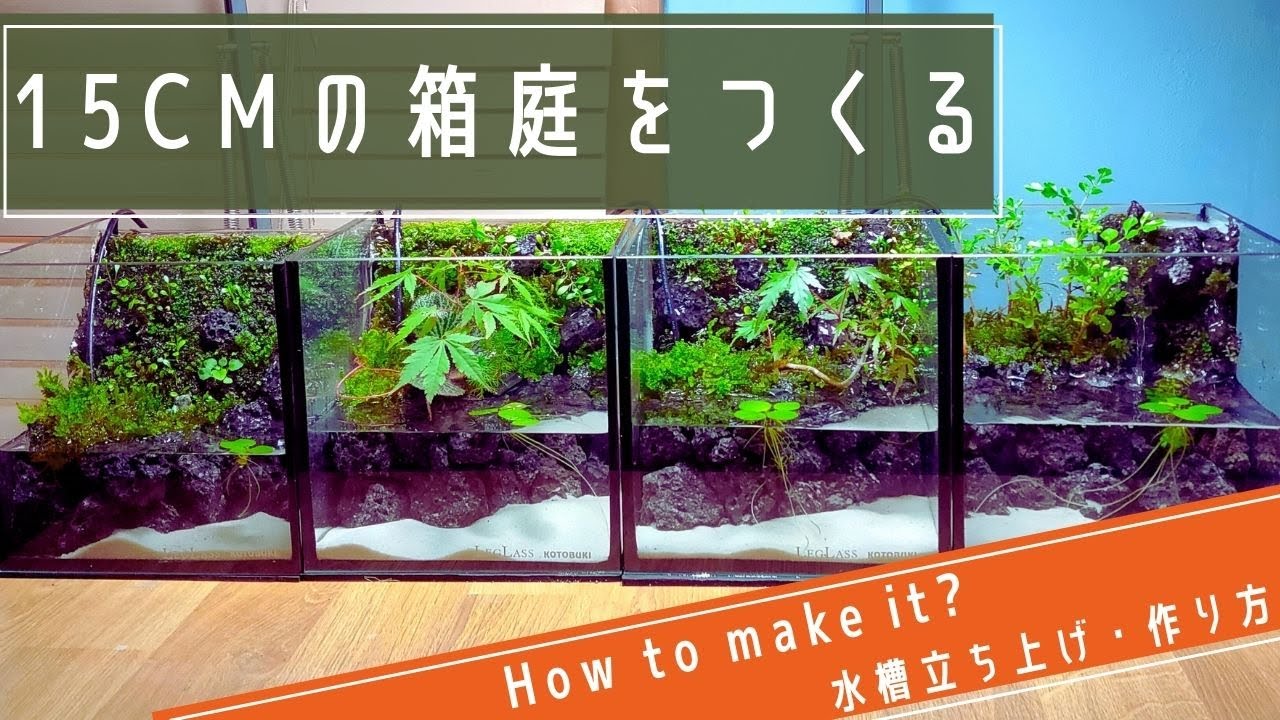 15cmミニ【アクアテラリウム】デスクにも置ける小さな水槽の作り方