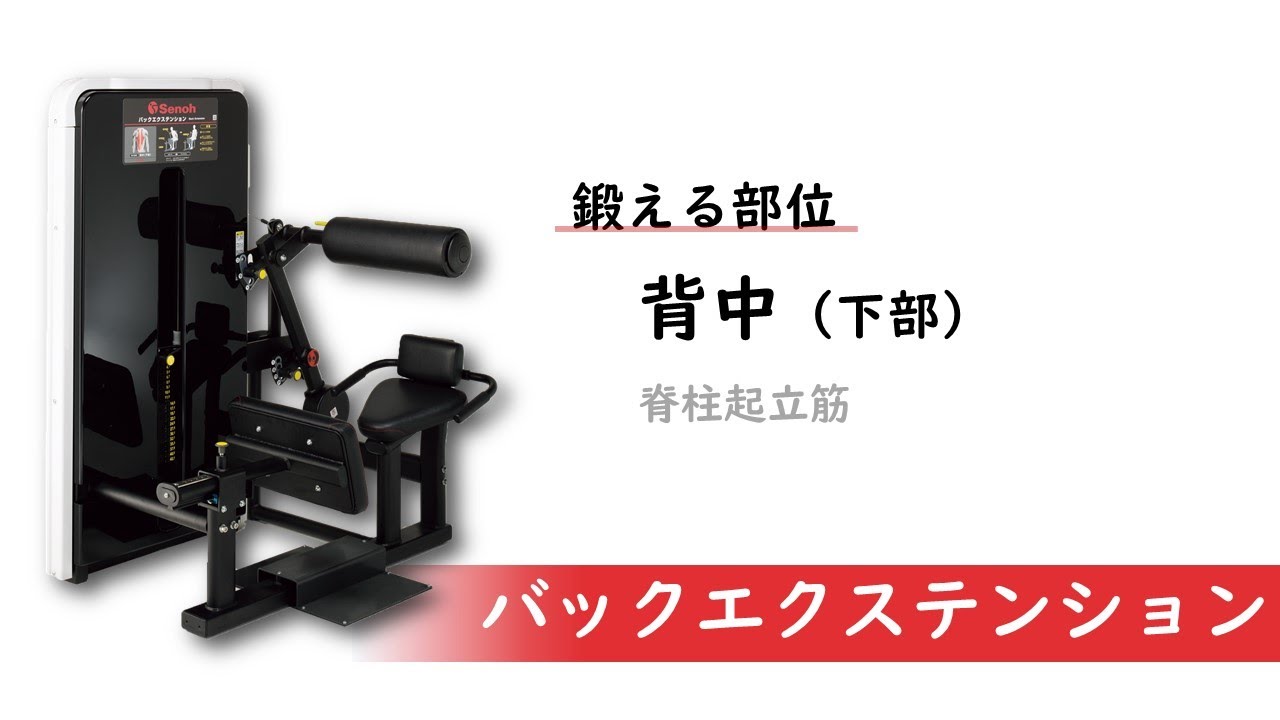 セノー(株)｜ウエイトスタックマシン｜筋トレ | Senoh セノー株式会社