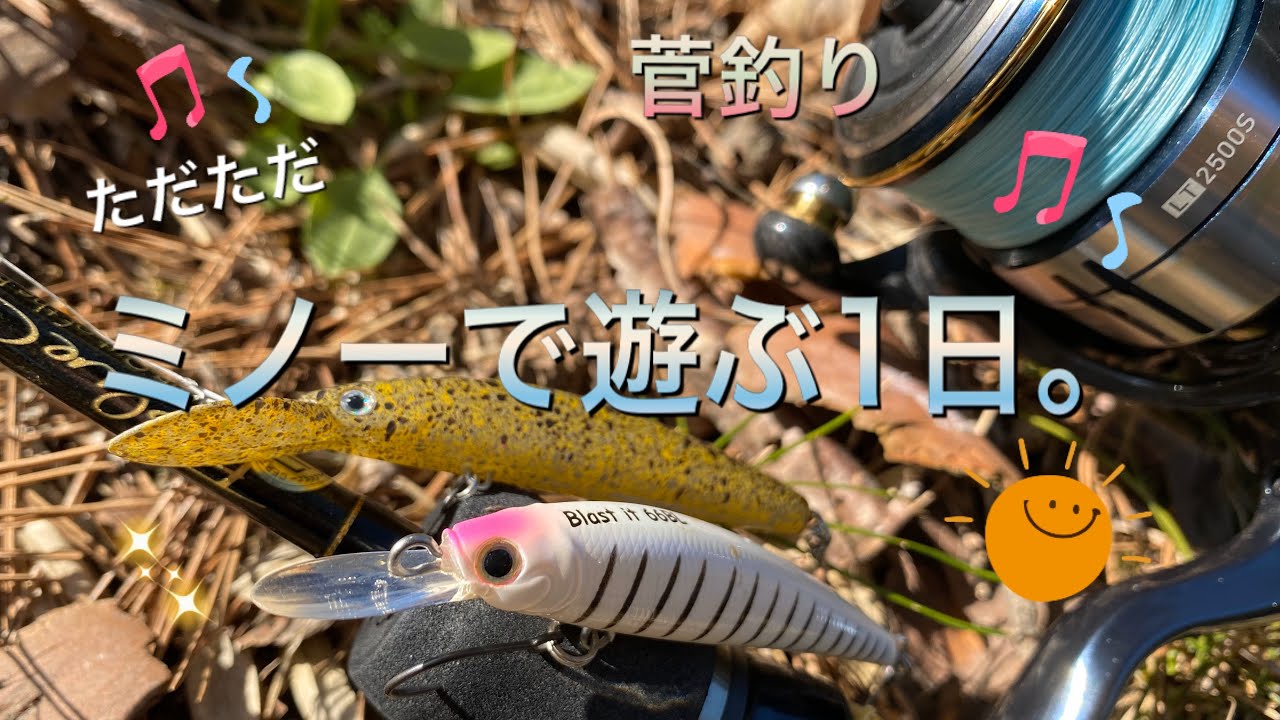 エリアトラウト】ミノーイングで遊ぶ1日【プレッソ ダブルクラッチ