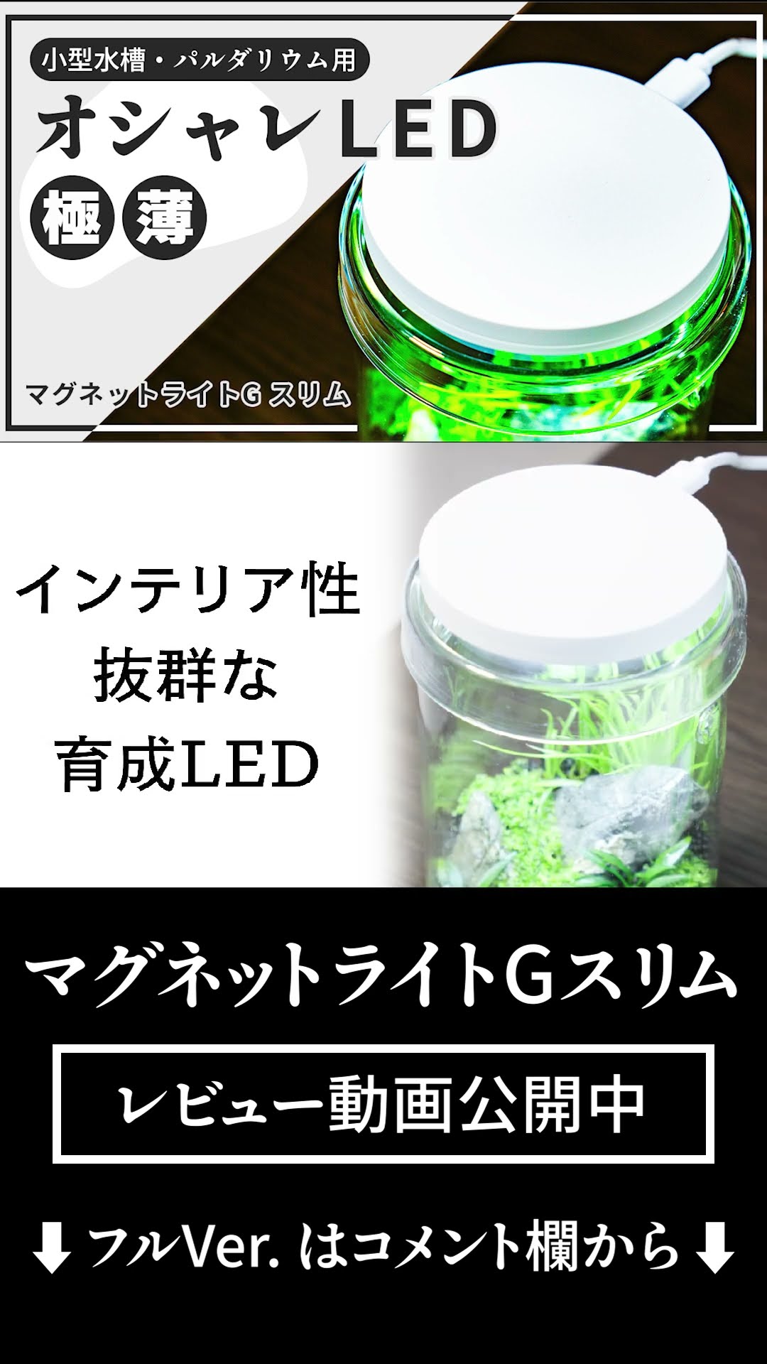 マグネットライトGスリムのPVを作ってみた #ada #aquarium #dooa