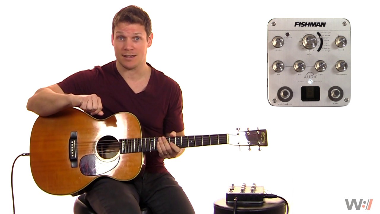 FISHMAN Aura Spectrum DI Preamp - アコースティックギター（エレアコ