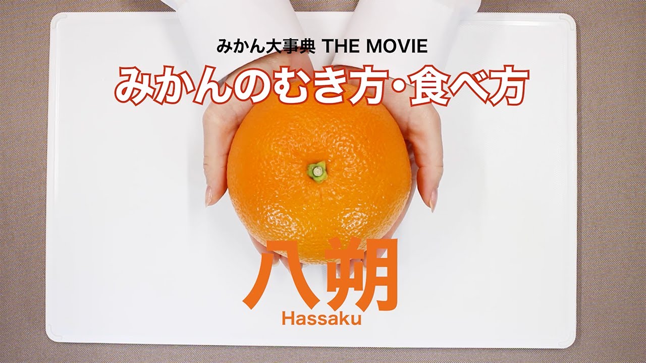八朔（はっさく） | みかん大事典 | みかんのことなら「のま果樹園