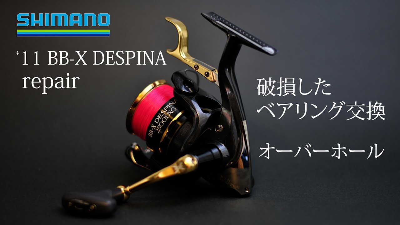 11 BB-X Despina 2500DXG Disassembly Repair Overhaul Bearing