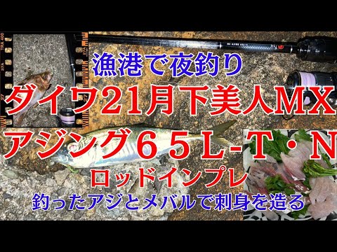漁港で夜釣り】ダイワ21月下美人mxアジング65L‐T・Nをインプレしてい