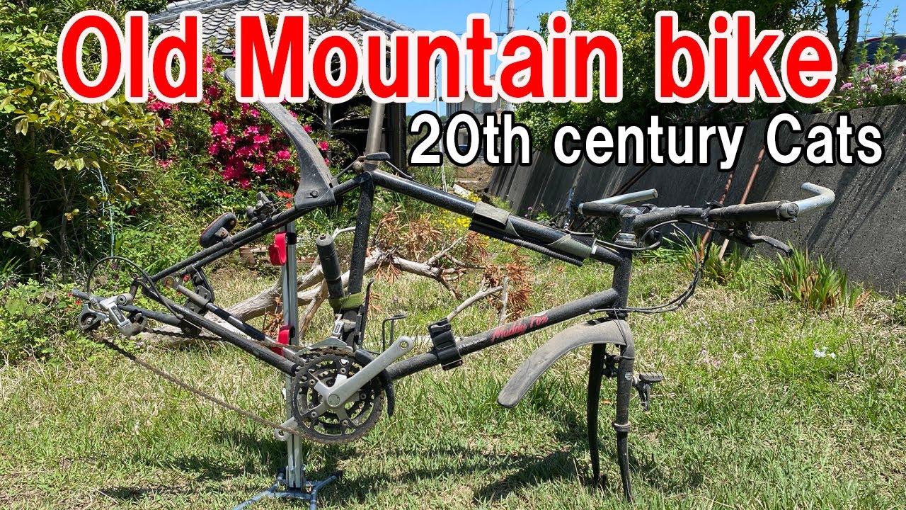 Muddy Fox】平成元年式アラヤのマウンテンバイク 【20th Century CATS
