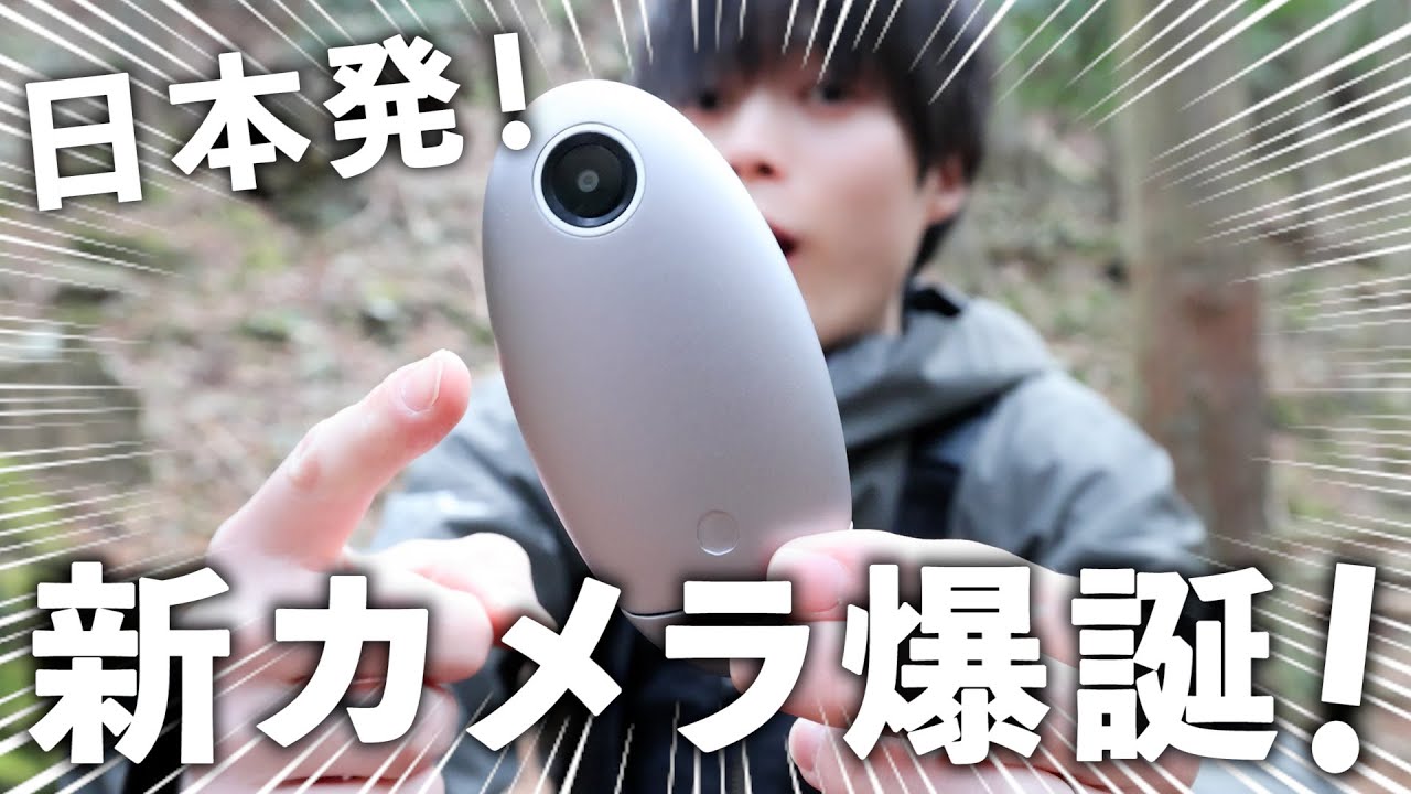 A thorough analysis of the 