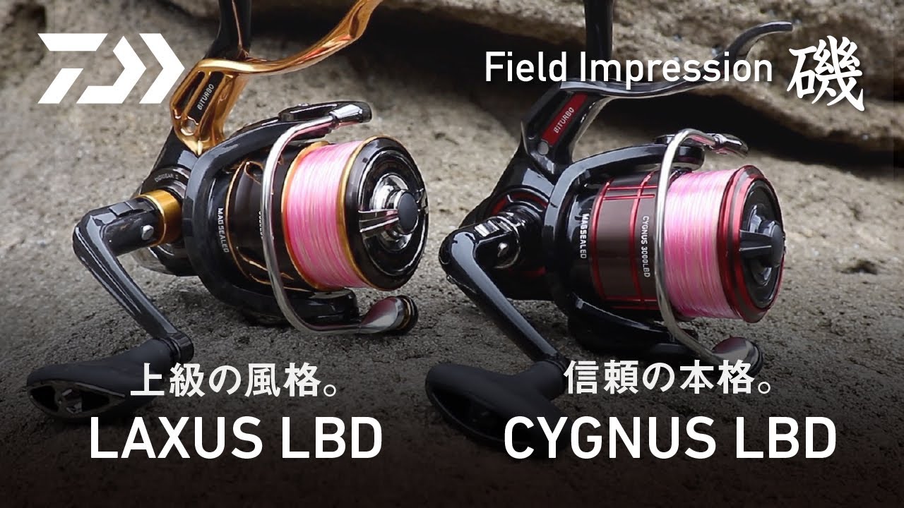 Daiwa CYGNUS 3000XH-LBD スピニングリール Daiwa CYGNUS 3000XH-LBD