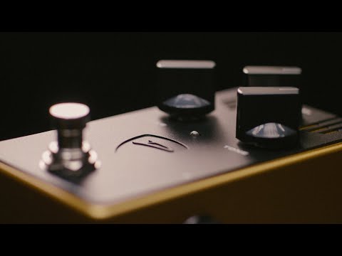 Dingwall x Darkglass: 35th Anniversary Limited Edition - YouTube