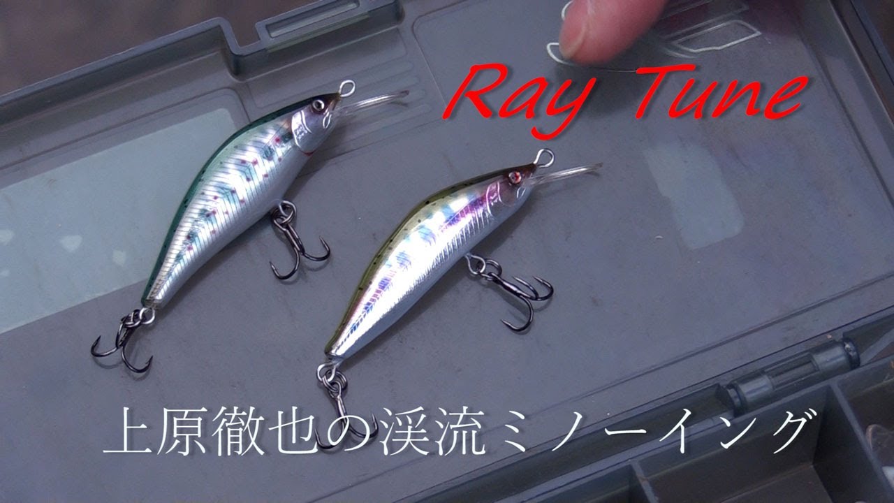 Mountain Stream Minnowing] Going fishing with Ray Tune Uehara