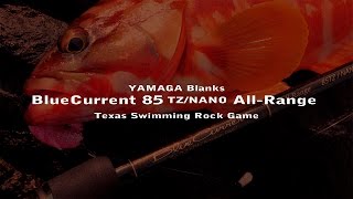 BlueCurrent 85TZ/NANO AllRange ロックフィッシュ実釣動画 - YouTube