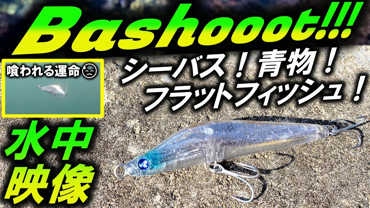 水中映像【BlueBlueバシュート!!!105】青物・シーバス・ヒラメ