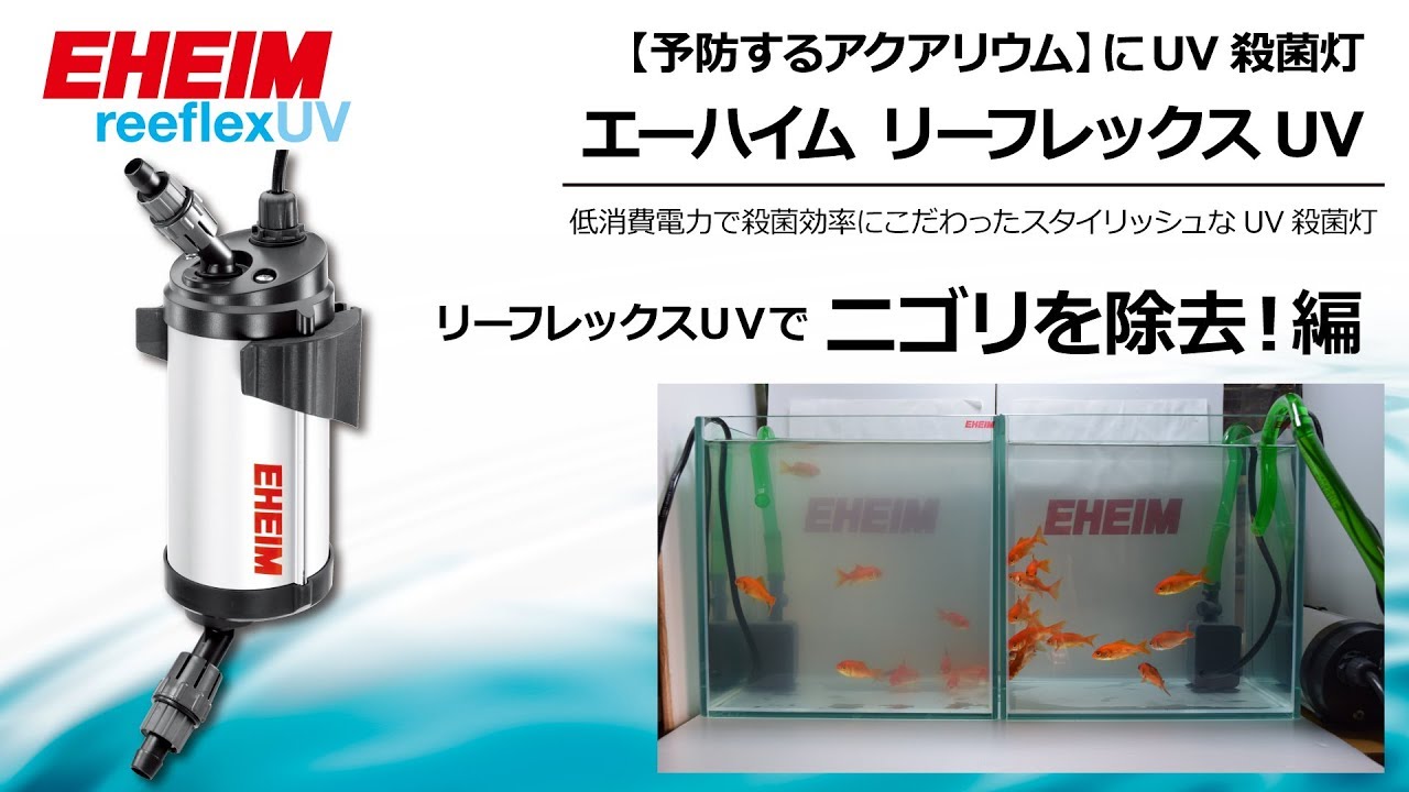 EHEIM｜エーハイム リーフレックスUV500UV殺菌灯 ｜ 外部式フィルター