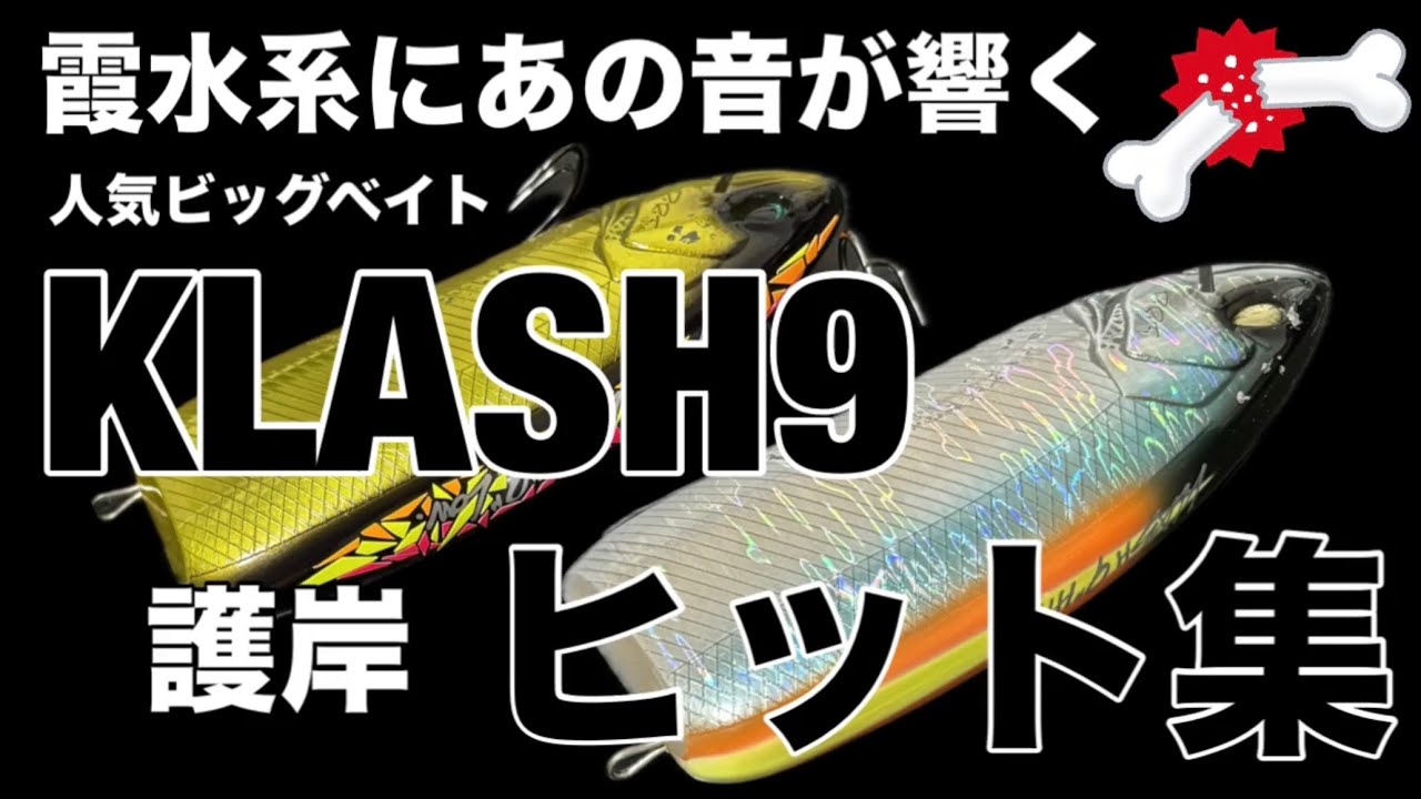 ヒット連発】クラッシュ9バス釣り 霞ヶ浦水系ビッグベイト護岸ヒット編