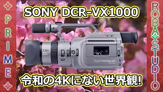The secret behind why the Sony DCR-VX1000 is still so popular