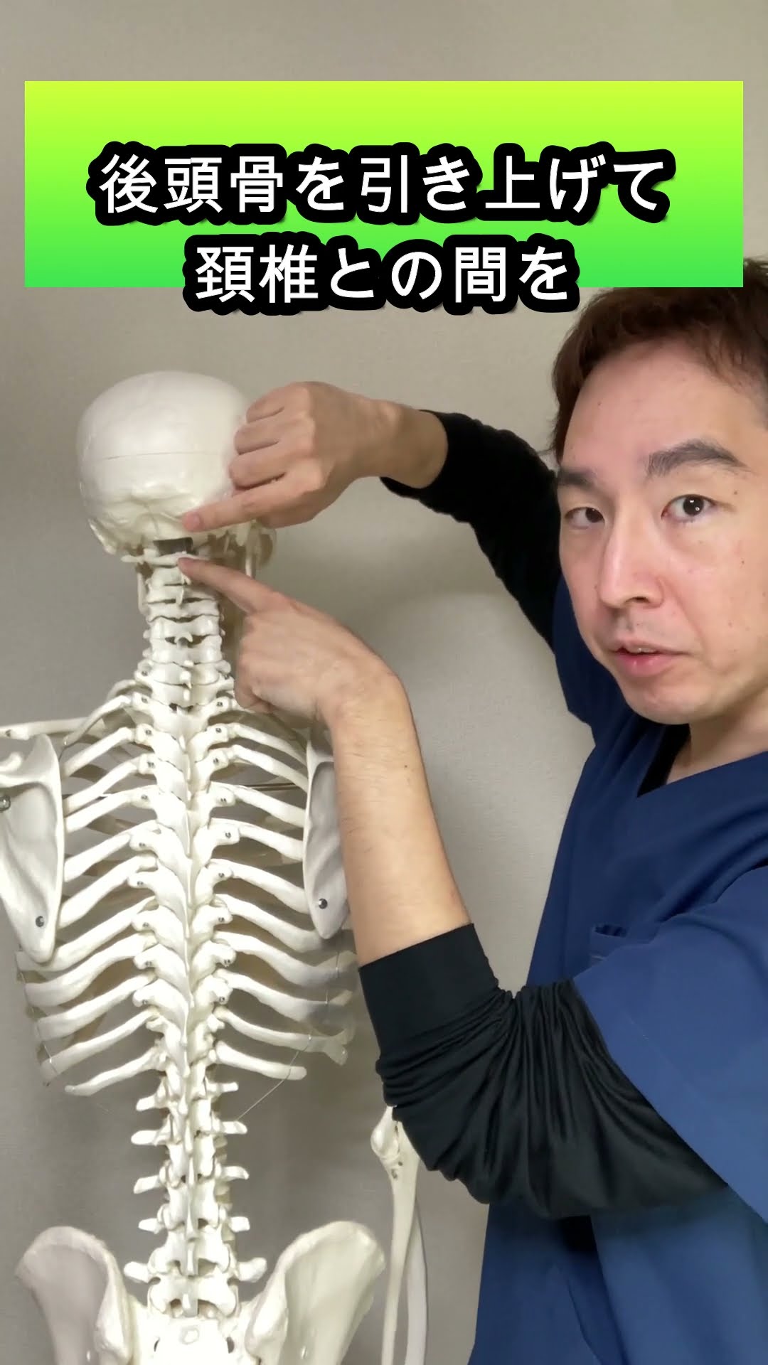 S O T1979 仙骨後頭骨テクニック 仙骨矯正 (SOT:仙骨後頭骨テクニック