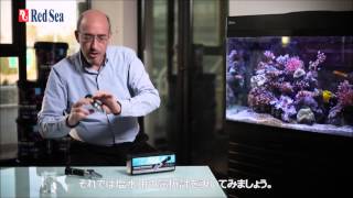 RedSea シーウォーターリフレクトメーター 屈折計 ※取寄品 | メーカー