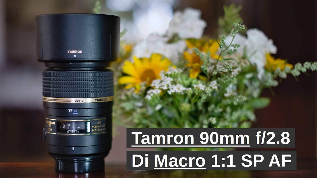 Tamron 90mm f/2.8 Di Macro 1:1 SP AF macro lens – a fun one! - YouTube