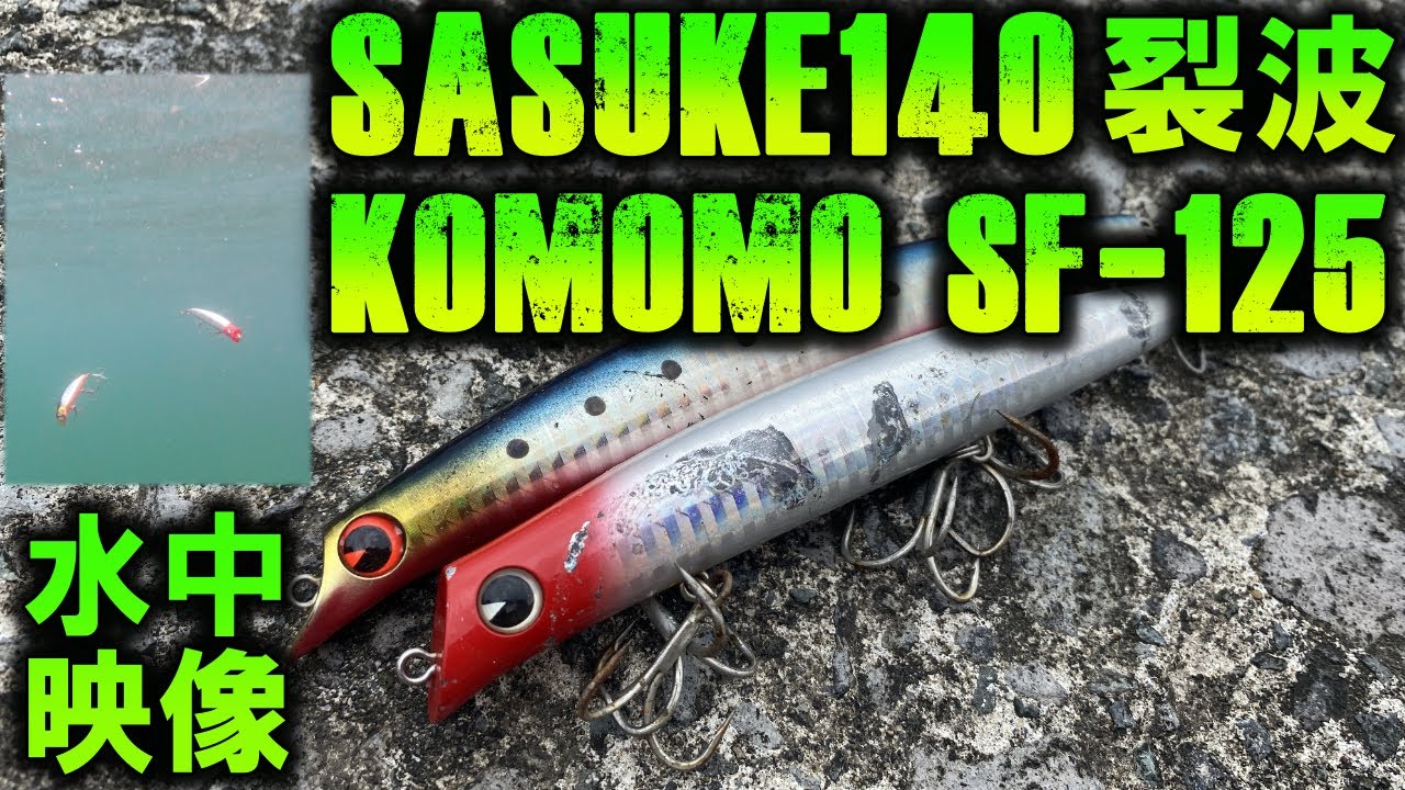 sasuke140裂波とkomomoSF125を水中映像で比較！シーバスのレンジ攻略に