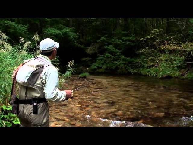 Ito.Craft Expert custom EXC510UL - YouTube