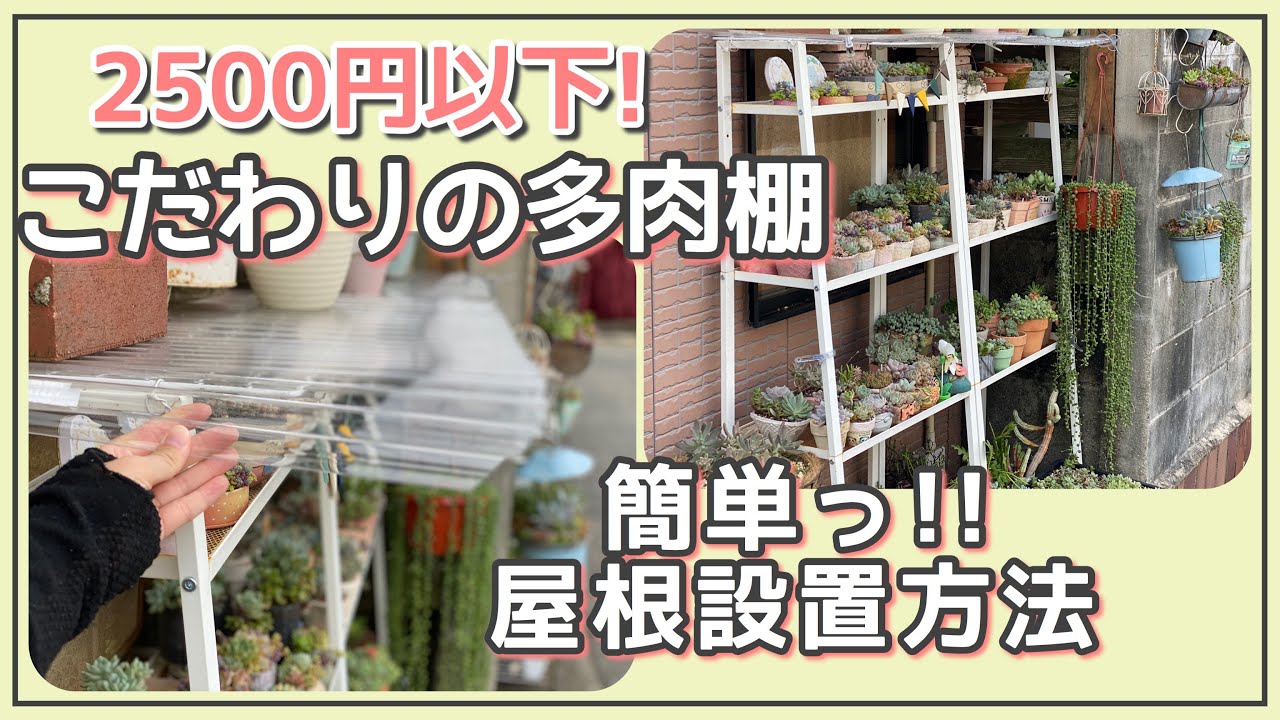 IKEA succulent shelf packed with tips] Installing a roof