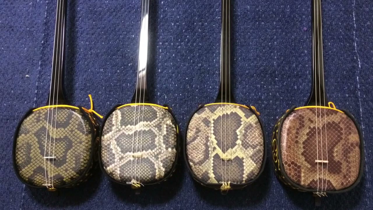 三線「人工皮」のランクと音の関係｜左大文字堯司