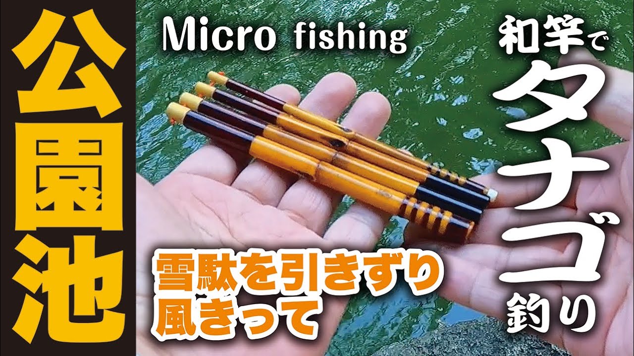 和竿でタナゴ釣り】雪駄を引きずり、風きって TANAGO MicroFish
