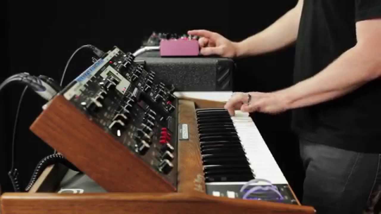 strymon | DIG（Gen1） | デュアル・デジタル・ディレイ | 生産完了品